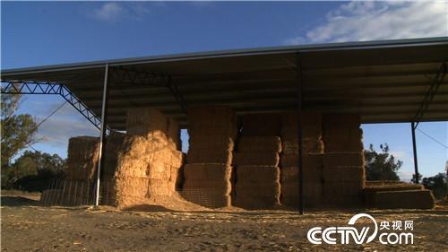 [�¸���(j��ng)]�Ї�С��Ĵ��������ӛ 20181128 