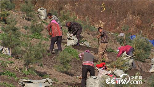 [�¸���(j��ng)]�����v���� �����v���� ٍ���v���X 20181203 