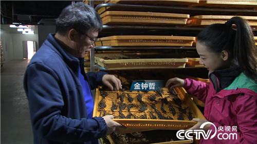 [�¸���(j��ng)]�����v���� �����v���� ٍ���v���X 20181203 