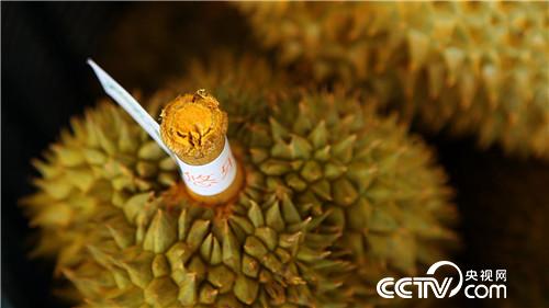 [�¸���(j��ng)]�ع��� �Ї��������Є�(d��ng) 20181130 