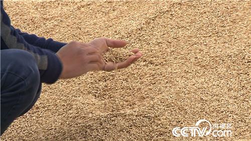 [�¸���(j��ng)]�Ї�С��Ĵ��������ӛ 20181128 