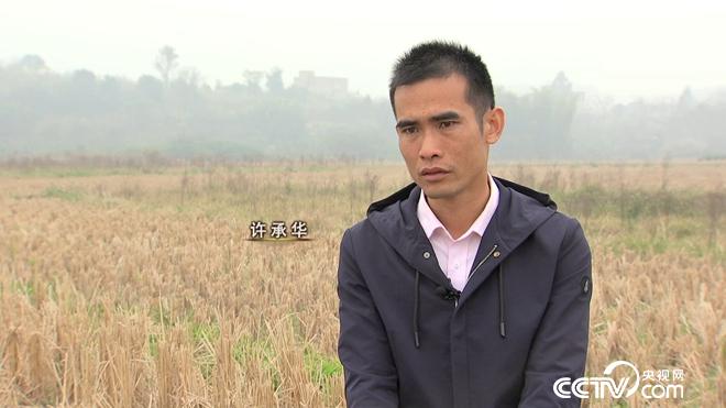 工薪小伙趕鴨下海 不到兩年賣千萬