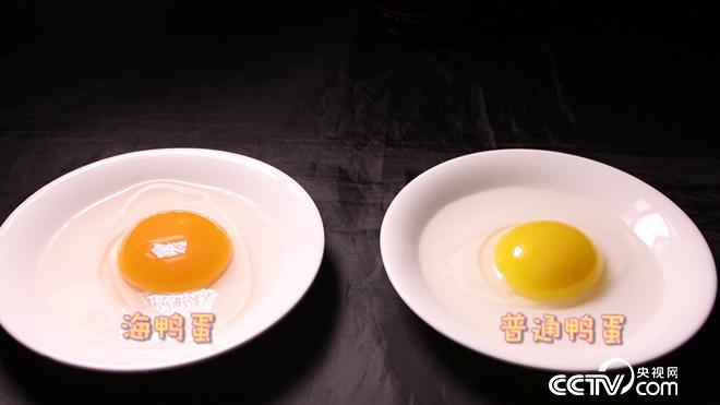 工薪小伙趕鴨下海 不到兩年賣千萬