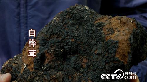 [�¸���(j��ng)]�������ؔ������ 20181129 