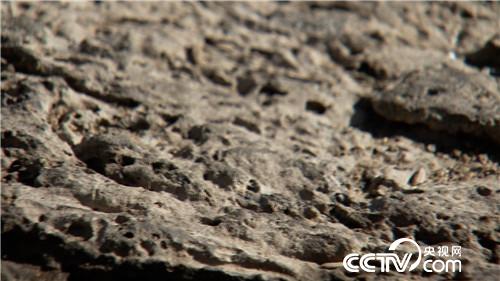 [�¸���(j��ng)]ؔ���N��ʯ�^�� ��С�ﱿ��ٍ���X 20181204 