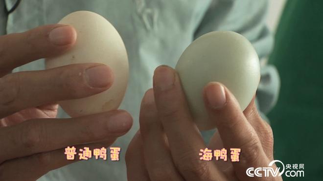 工薪小伙趕鴨下海 不到兩年賣千萬