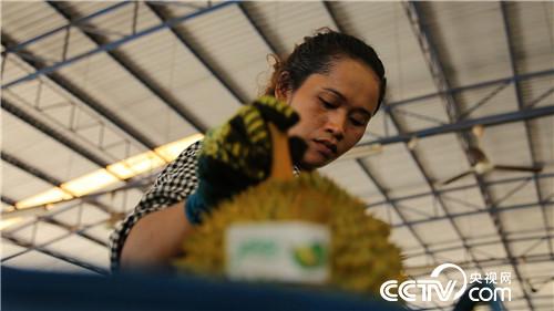 [�¸���(j��ng)]�ع��� �Ї��������Є�(d��ng) 20181130 