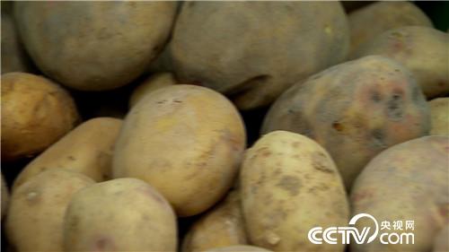 [�¸���(j��ng)]�������ؔ������ 20181129 