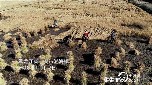 [�¸���(j��ng)]ؔ���N��ʯ�^�� ��С�ﱿ��ٍ���X 20181204 