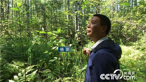 [�¸���(j��ng)]�������ؔ������ 20181129 