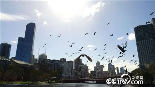 [�¸���(j��ng)]�Ї�С��Ĵ��������ӛ 20181128 