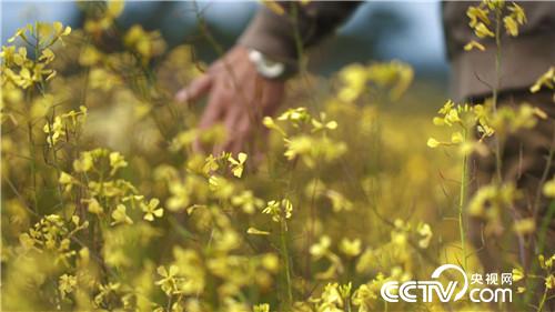 [�¸���(j��ng)]�˲��� �Ї�(gu��)�r(n��ng)�� ������ ���ķ� 20181219 