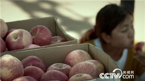 [�¸���(j��ng)]�˲��� �Ї�(gu��)�r(n��ng)�� ������ ���ķ� 20181219 