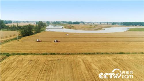 [¸(jng)]˲ Їr——¾ĸ_40 һ  20181217 