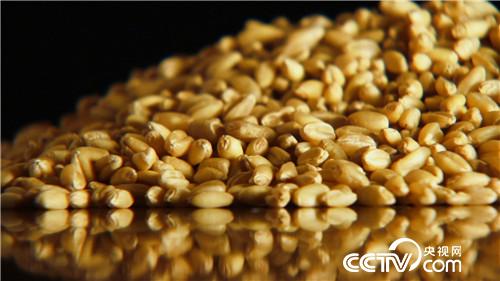 [¸(jng)]˲ Їr——¾ĸ_40 һ  20181217 