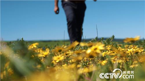 [�¸���(j��ng)]�˲��� �Ї�(gu��)�r(n��ng)�� ������ ���ķ� 20181219 