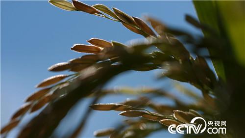 [¸(jng)]˲ Їr——¾ĸ_40 һ  20181217 