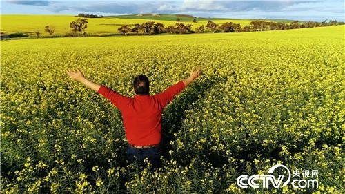 [�¸���(j��ng)]�˲��� �Ї�(gu��)�r(n��ng)�� ������ ���ķ� 20181219 