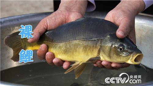 [¸(jng)](i)ӻl(xing)(chung)I(y) v~(y)ؔ(ci) 20190506 