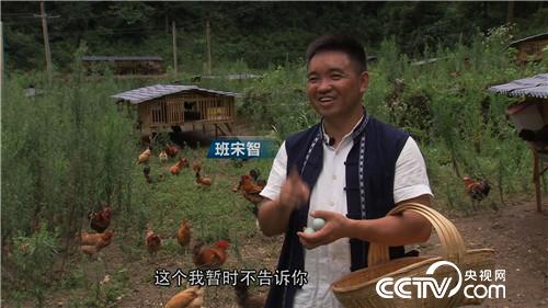 致富經(jīng):兩個(gè)疼媳婦的男人 稀奇招法賣千萬財(cái)富 4月26日