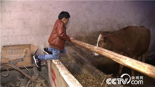 [¸(jng)]С(g)Ӵǻ Aؔ(ci)c 20190430 