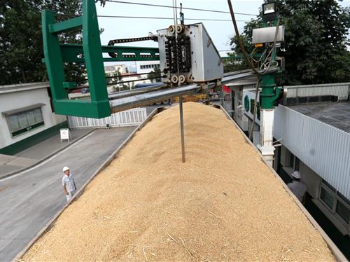 14_副本.jpg 14_副本.jpg